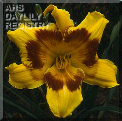 How Do You Like Me Now AHS image