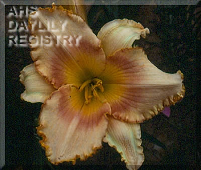 Edge of Knowledge AHS image