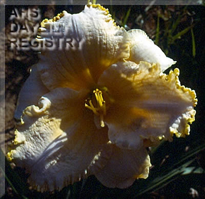 Fancy Fixin's AHS image