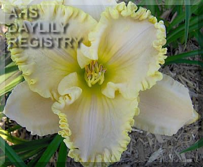 Glastonbury AHS image