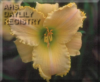 Country Cool AHS image
