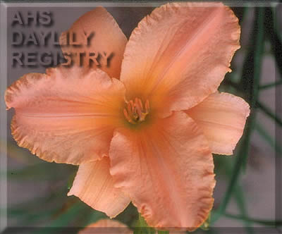 Master Peach AHS image