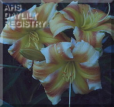 Cat Ballou AHS image