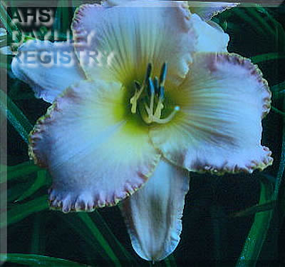 Cheraws John Anderson AHS image
