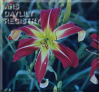 Remembering Flo Nix AHS image