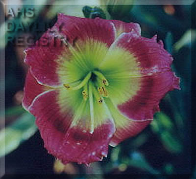 Green Sunburst AHS image