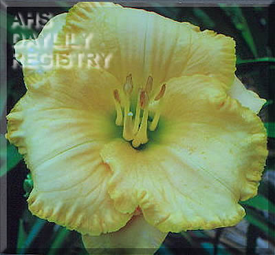 Rhine Gorge AHS image