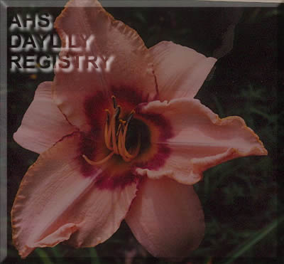 Barbara Black AHS image