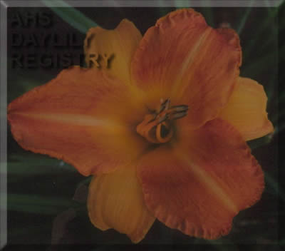 Thelma Jones AHS image