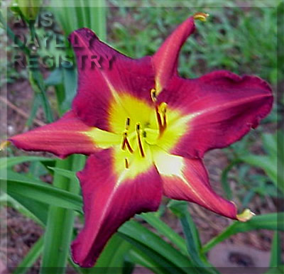 Red Hills of Georgia AHS image