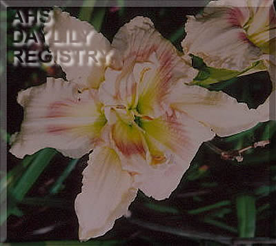 Jean Caldwell AHS image