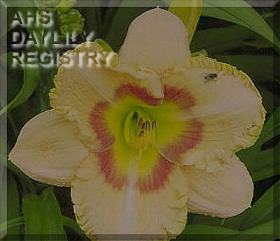 Regal Approval AHS image