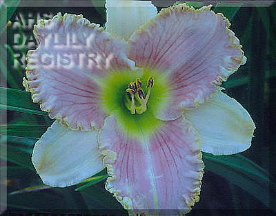 Yes Me AHS image