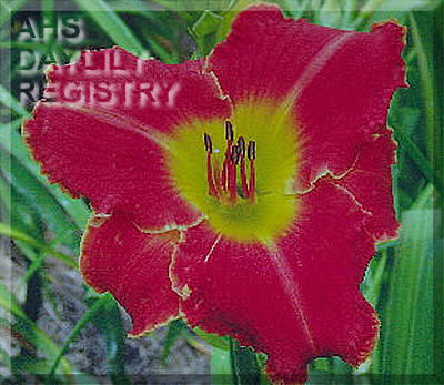 Red Jay AHS image