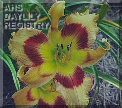 Routine Change AHS image