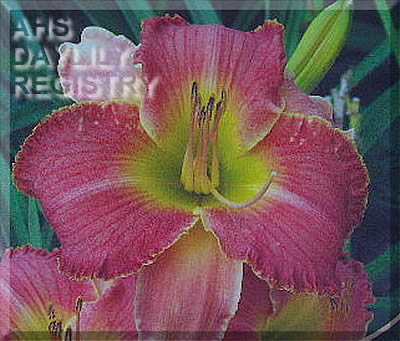 Rocky Road AHS image