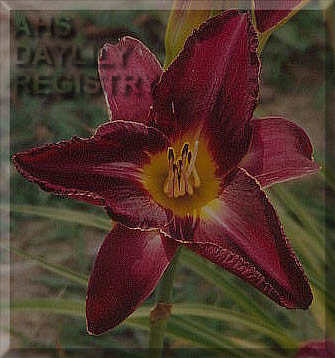 Leslie Alvin AHS image