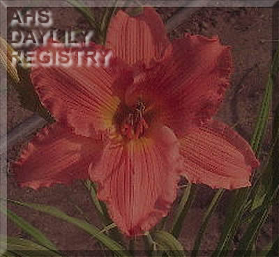 Flint Hills Vision AHS image