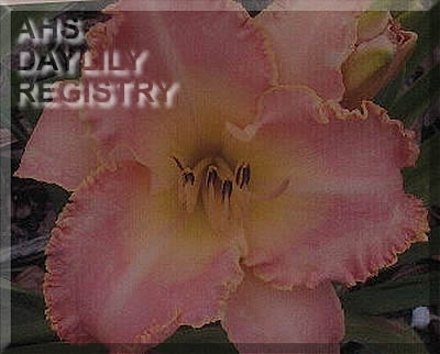 Flint Hills Fantasy AHS image