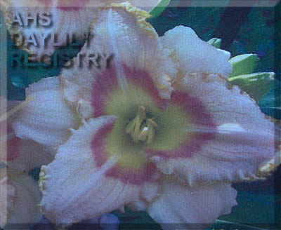 Canadian Candy Braid AHS image