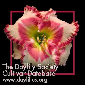 Valentine Darling AHS image