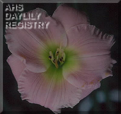 Brookwood Lady of the Gardens AHS image