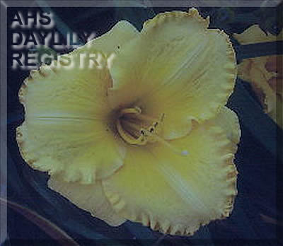 Sandy's Secret Recipe AHS image