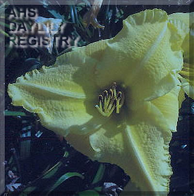 Sweet Henneritta AHS image