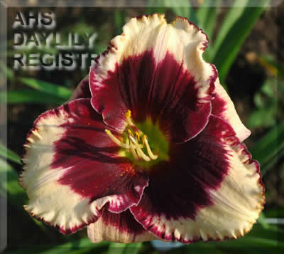 Juris GAB AHS image