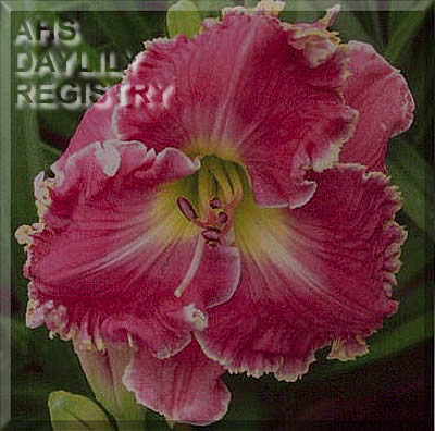Barbara Delisle AHS image