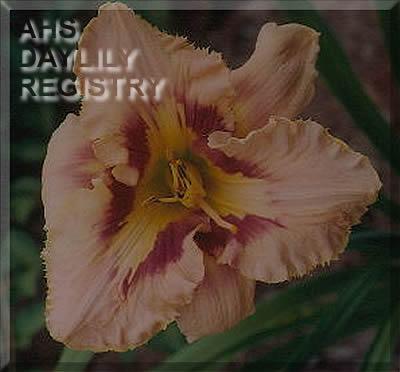 LaGriffe AHS image