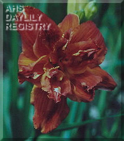 Prominent Rendition AHS image