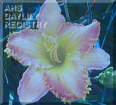 Heart's Awakening AHS image