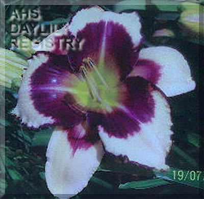 Homeward Pilgrim AHS image