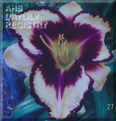 Celebrate the Day AHS image