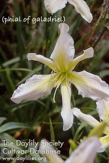 Phial of Galadriel AHS image