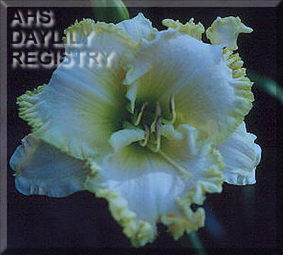 Nature's Wedded Bliss AHS image