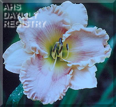 Caroline Kittell AHS image