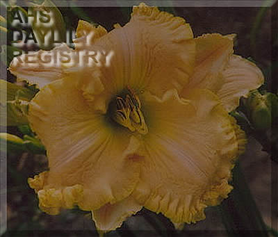 Kennebec Enchantment AHS image