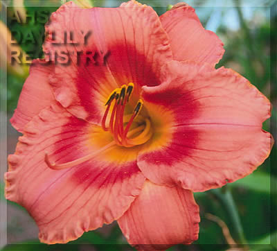Gauguin Flair AHS image
