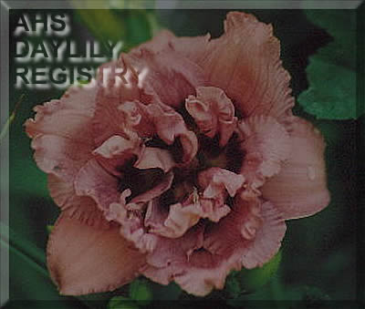Harry's Office AHS image
