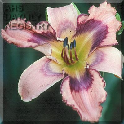 Tie Dye Skies AHS image