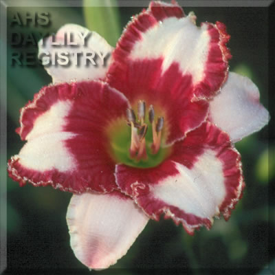 Berry Extraordinary AHS image