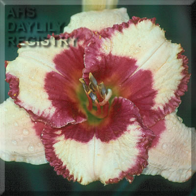 Strawberry Treasure AHS image