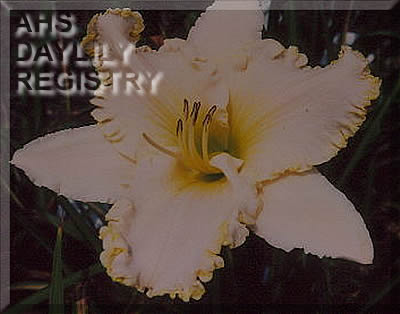 Gardinia Mist AHS image