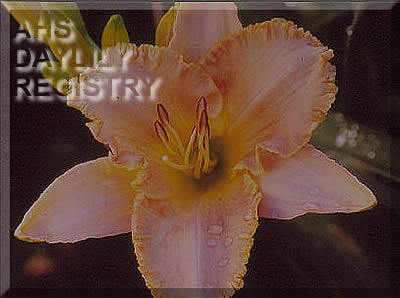 My Friend Jim AHS image