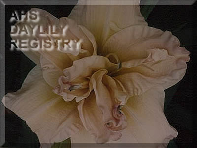 Lillith Claire AHS image