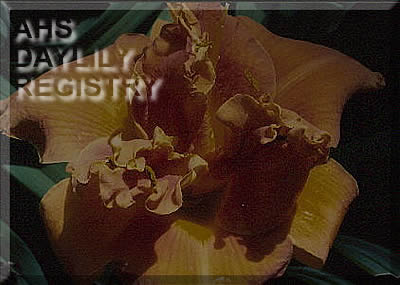 Double Firefly AHS image