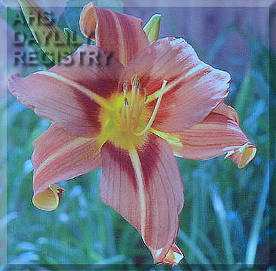 Rivendell Woodwork AHS image