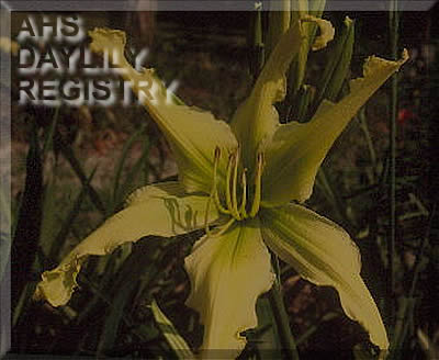 Six Legs a Leaping AHS image